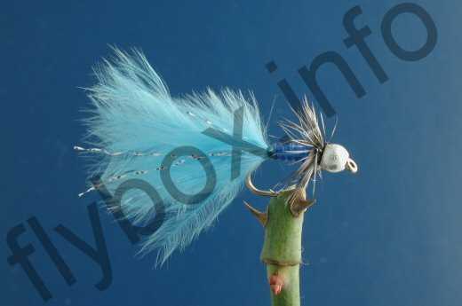 Fish4Flies Silverhead Adult Damsel